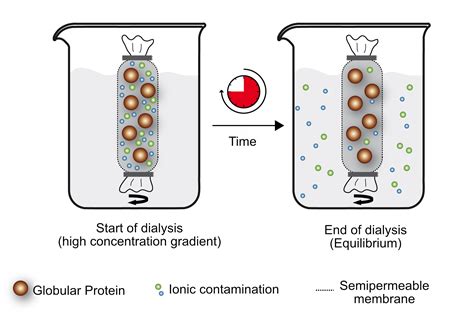 protein dialysis buffer